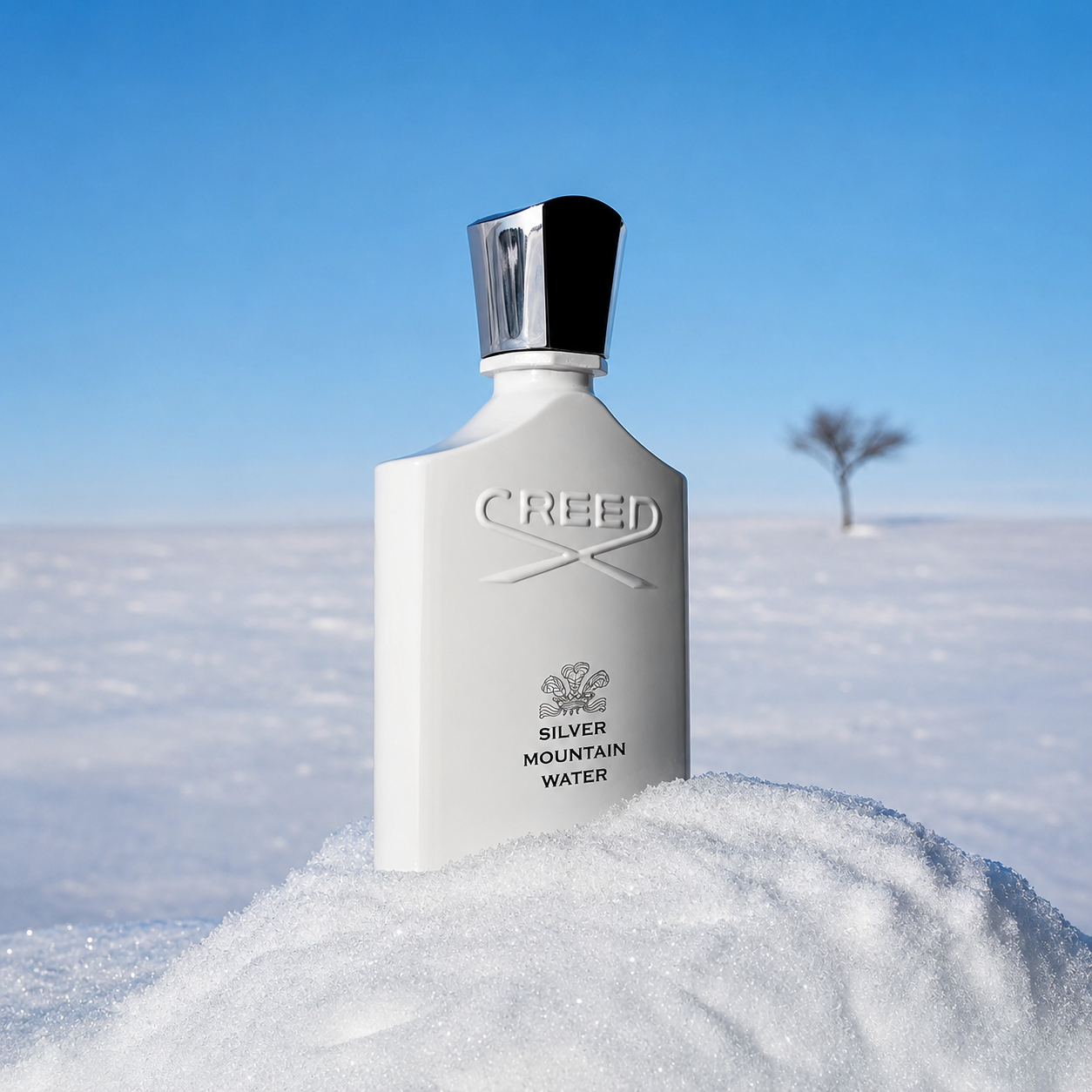 SILVER MOUNTAIN WATER - CREED - EAU DE PARFUM - 100ML