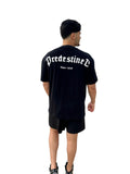 CAMISETA PREDESTINED PREMIUM - FATEN