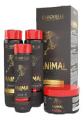 KIT FORÇA AMINAL - CHARMELLE - SHAMPOO 400ML - CONDICIONADOR  400G - MÁSCARA 300G - FILALIZADOR 200ML
