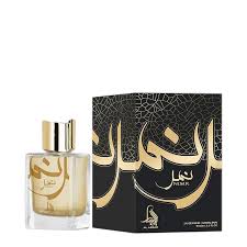 NIMR - AL ABSAR - EAU PARFUM - 100ML